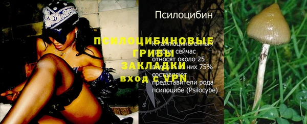 синтетический гашиш Балахна