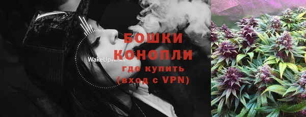 PSILOCYBIN Балабаново