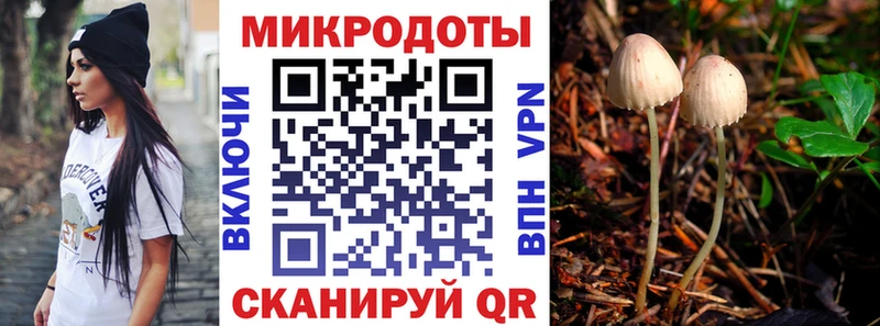 Псилоцибиновые грибы GOLDEN TEACHER  Чудово 