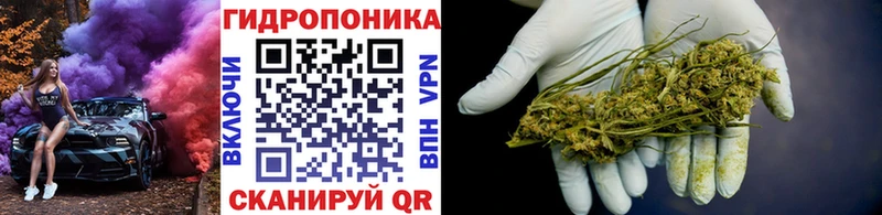 Бошки марихуана White Widow  Чудово 